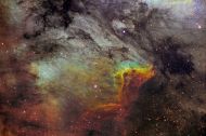 1096-2.jpg