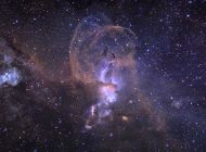 1096-3.jpg