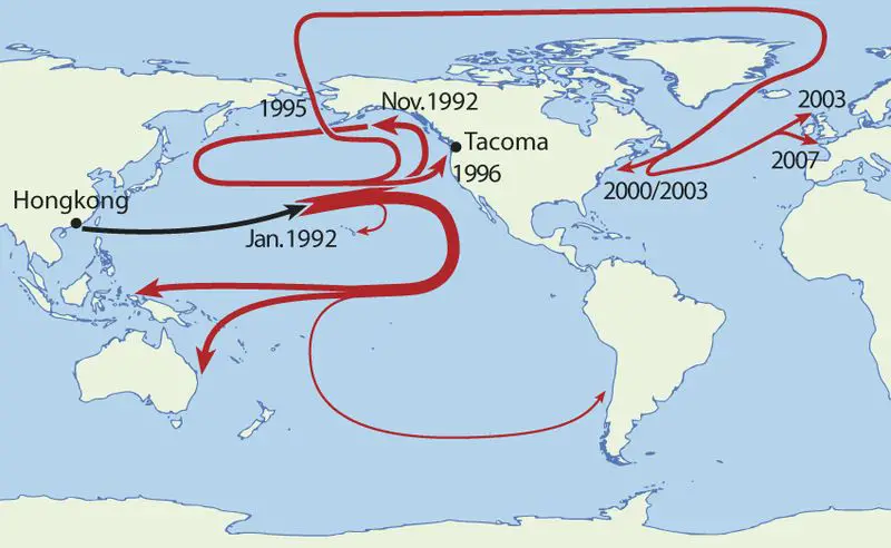 La travesía de los patitos de goma
