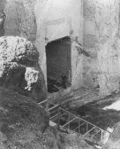1128-5.jpg
