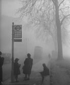 Great smog