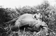 El safari de Roosevelt